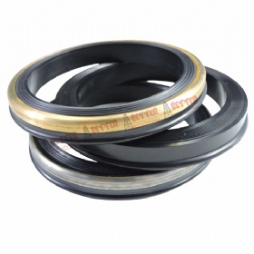 Replacement Hammer Union Lip Seal Rings & Viton O-rings FIG 602/1002/1502 Excellent Quality